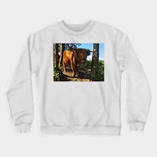 Scottish Highland Cattle Calf 2050 Crewneck Sweatshirt